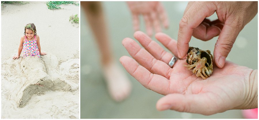 Hermit crab and a sand mermaid tail.