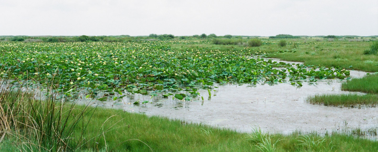 Dallas Film photographer captures family crabbing