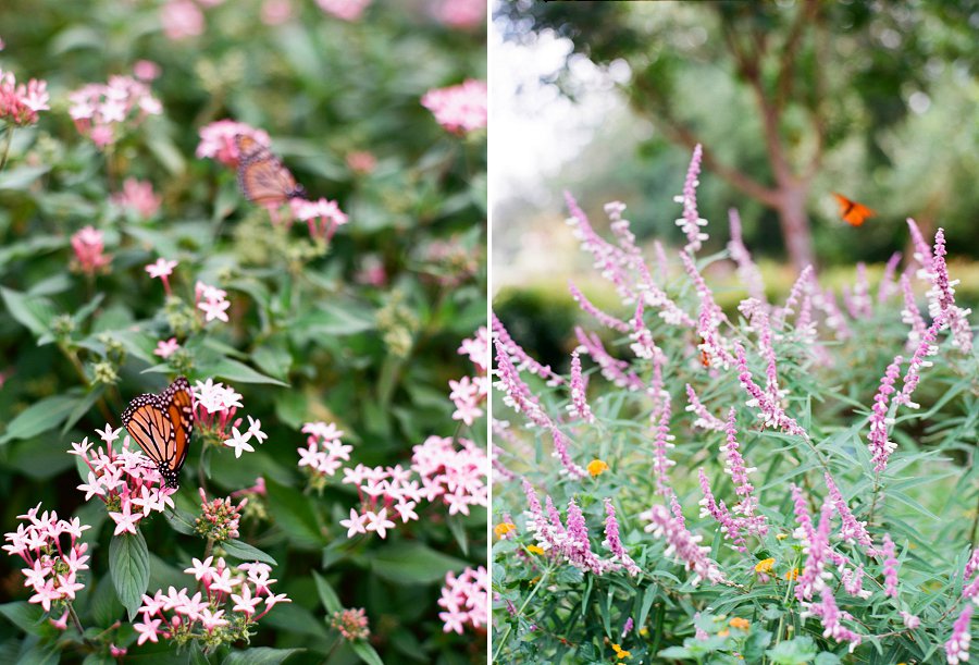 Dallas arboretum wedding photos.