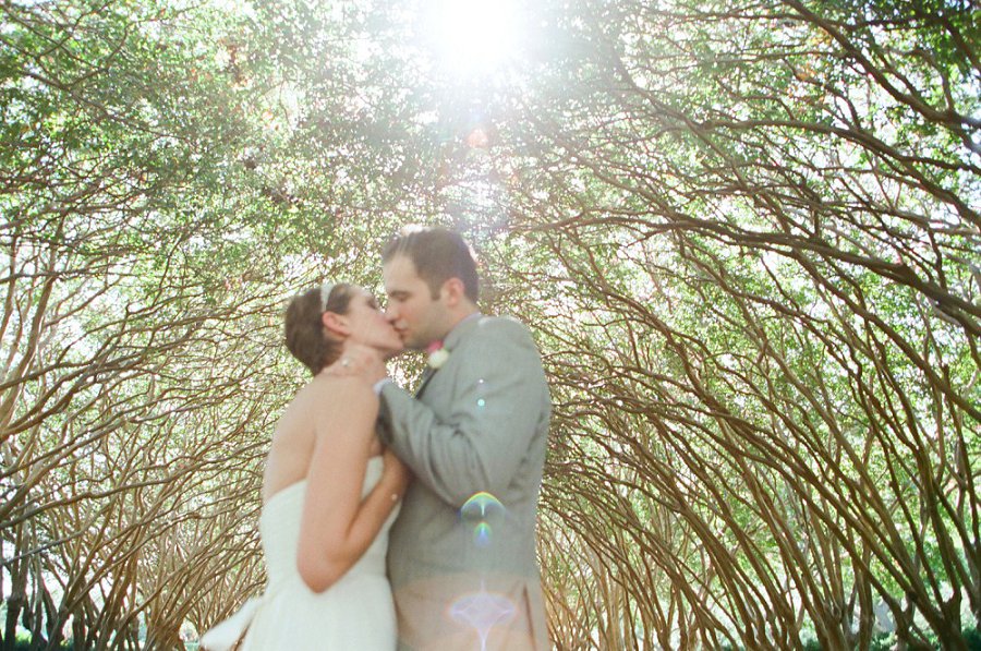 Crape Myrtle Allee at the Dallas Arboretum.