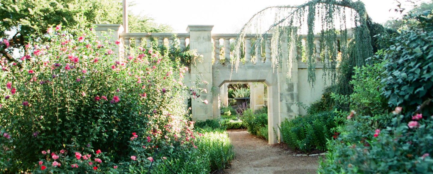 Dallas wedding photographer at Dallas arboretum.